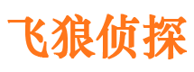 武胜私家调查公司